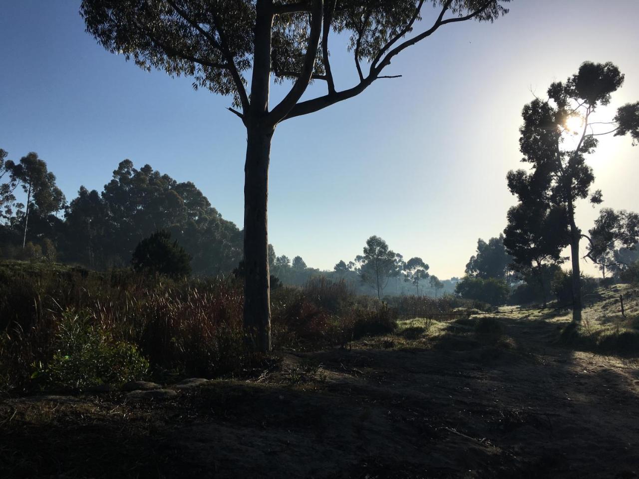 Stellar Overberg Travellers Lodge Napier Εξωτερικό φωτογραφία