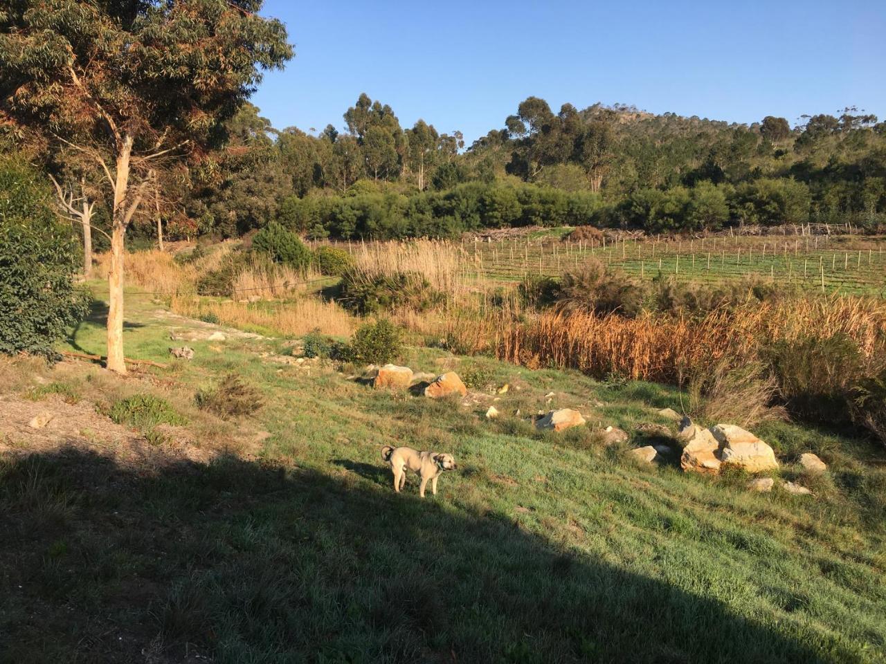 Stellar Overberg Travellers Lodge Napier Εξωτερικό φωτογραφία