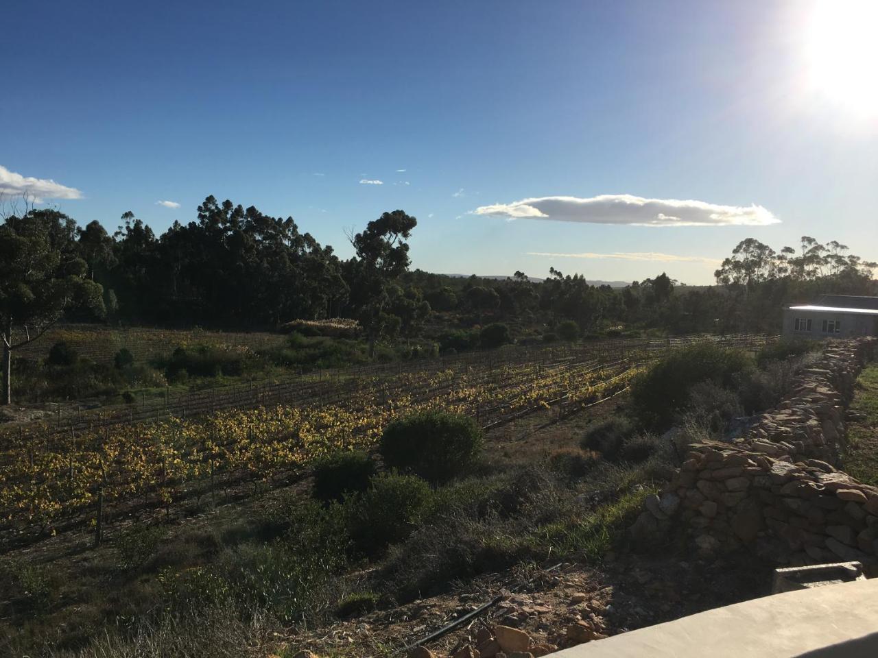 Stellar Overberg Travellers Lodge Napier Εξωτερικό φωτογραφία