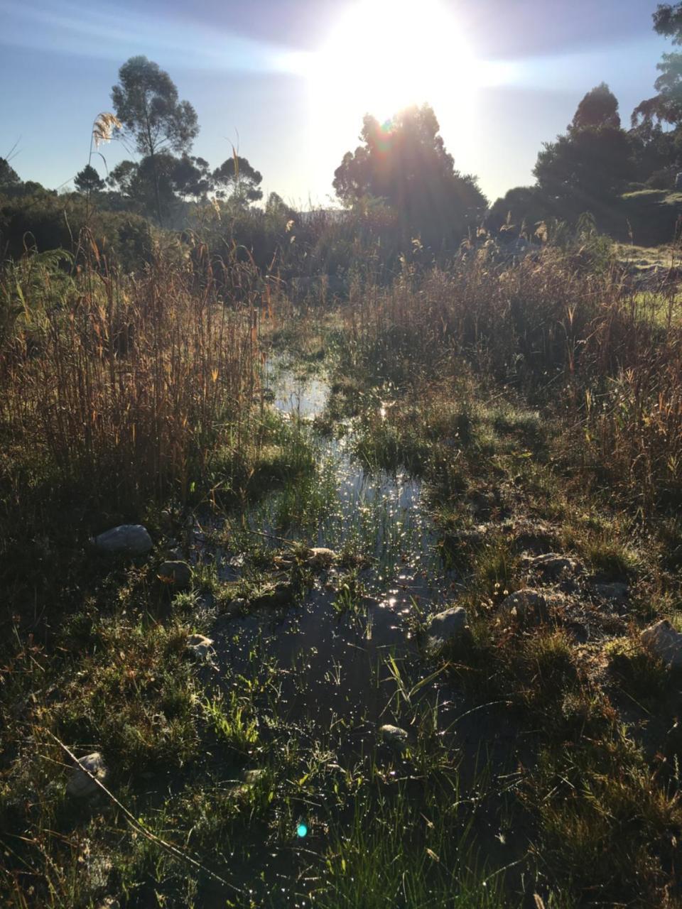 Stellar Overberg Travellers Lodge Napier Εξωτερικό φωτογραφία