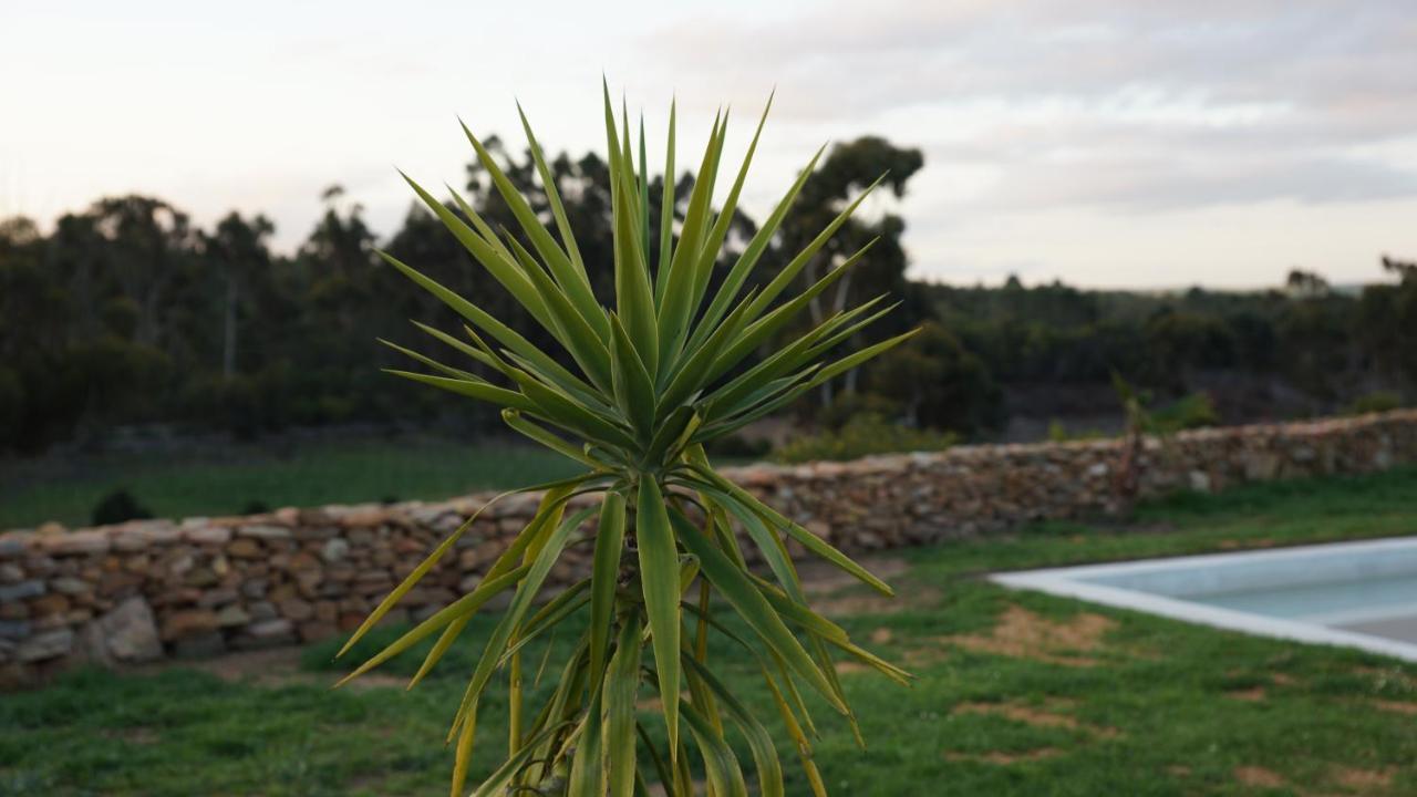 Stellar Overberg Travellers Lodge Napier Εξωτερικό φωτογραφία