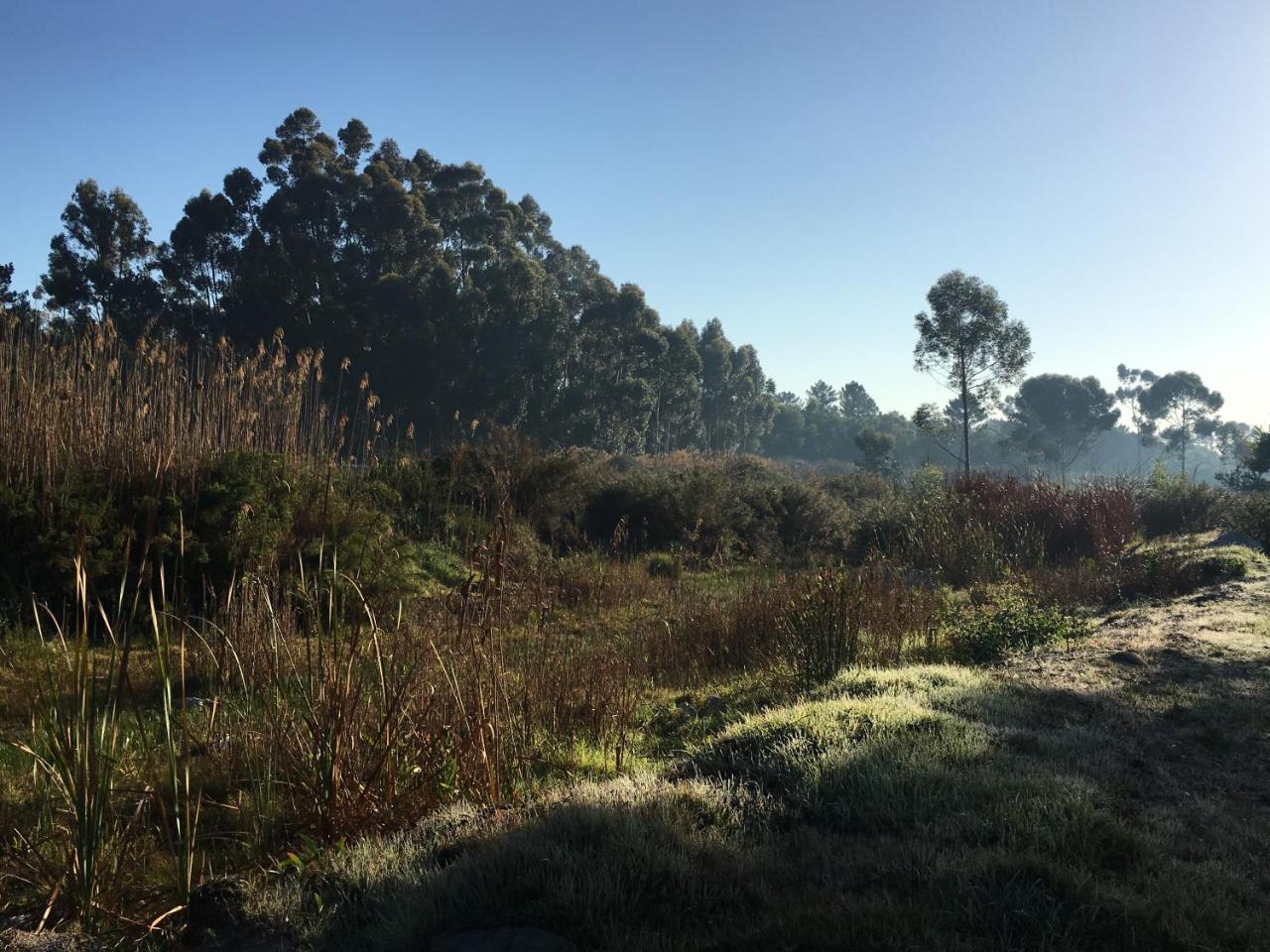 Stellar Overberg Travellers Lodge Napier Εξωτερικό φωτογραφία