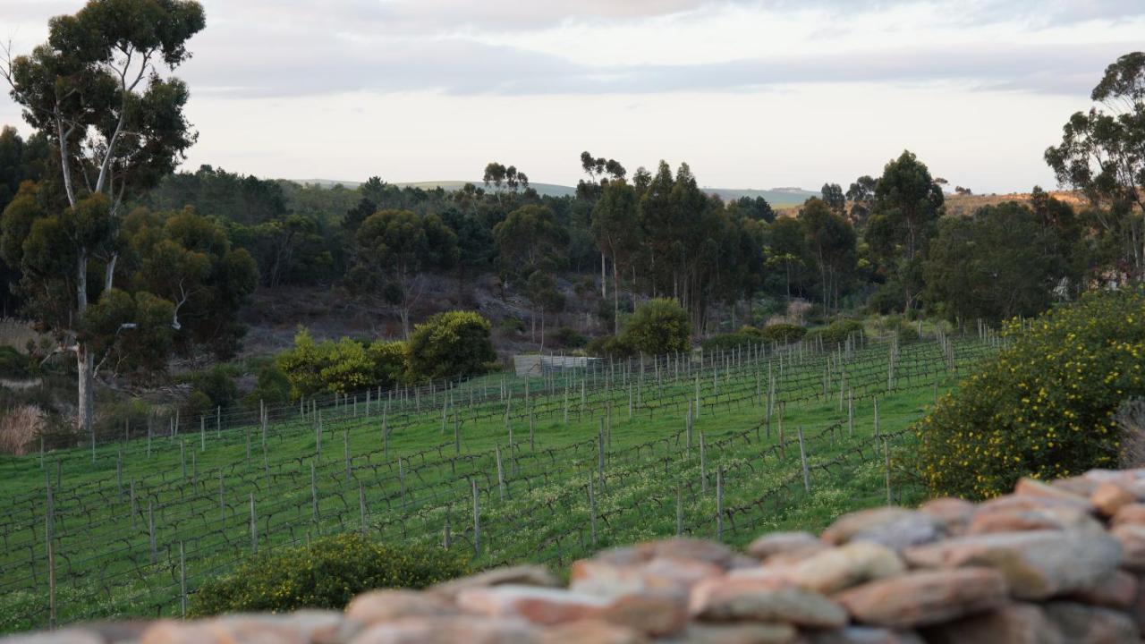 Stellar Overberg Travellers Lodge Napier Εξωτερικό φωτογραφία